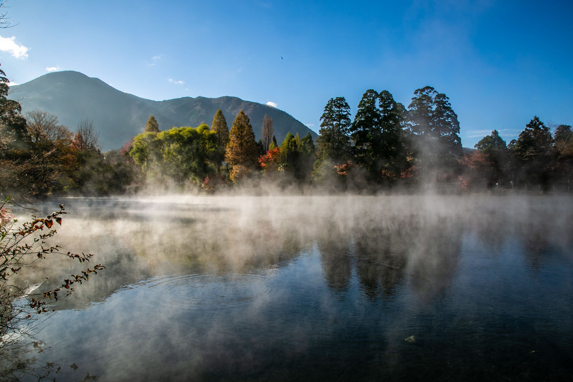 Yufuin Lodge Tabinokura