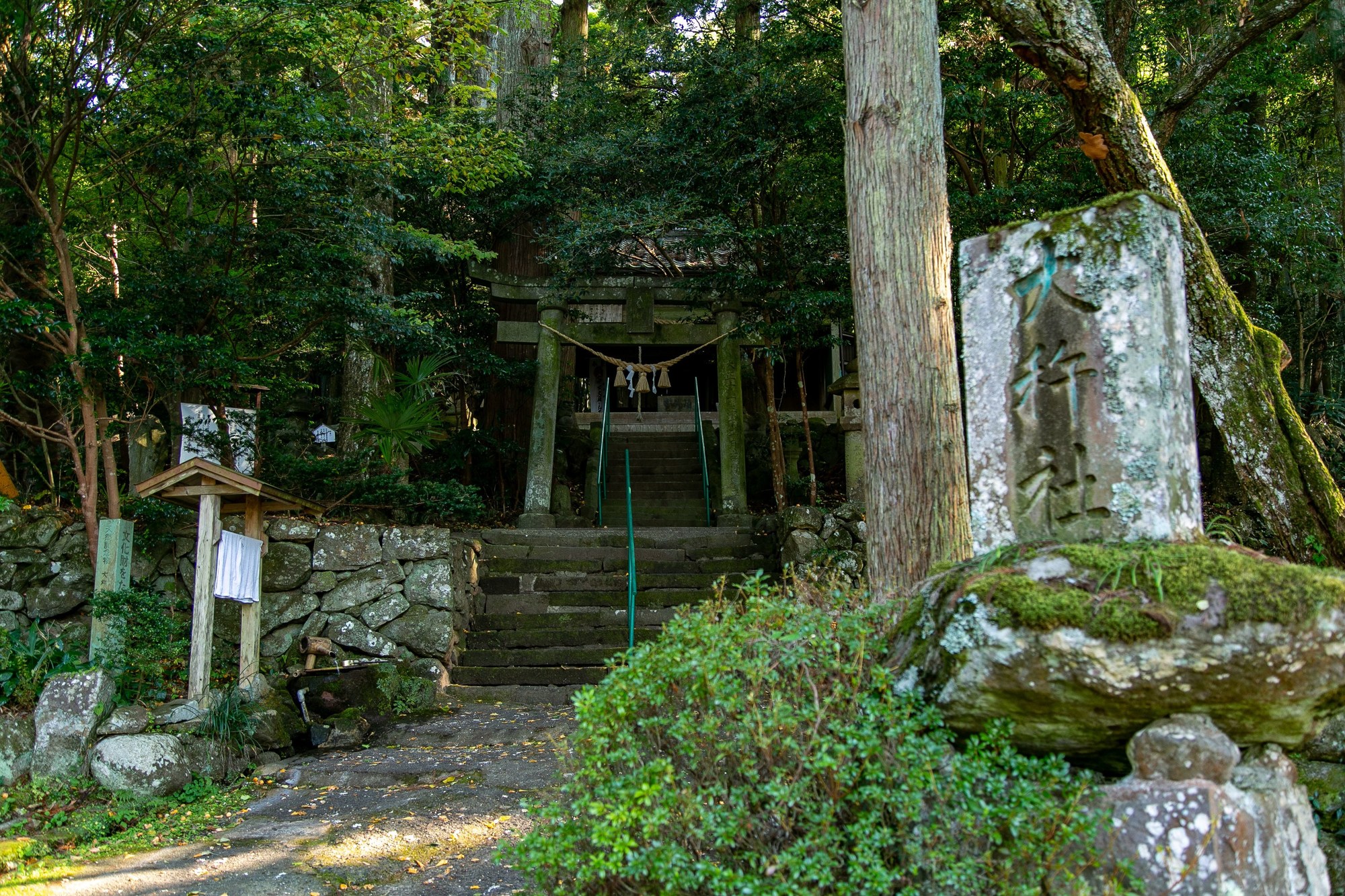 Yufuin Lodge Tabinokura