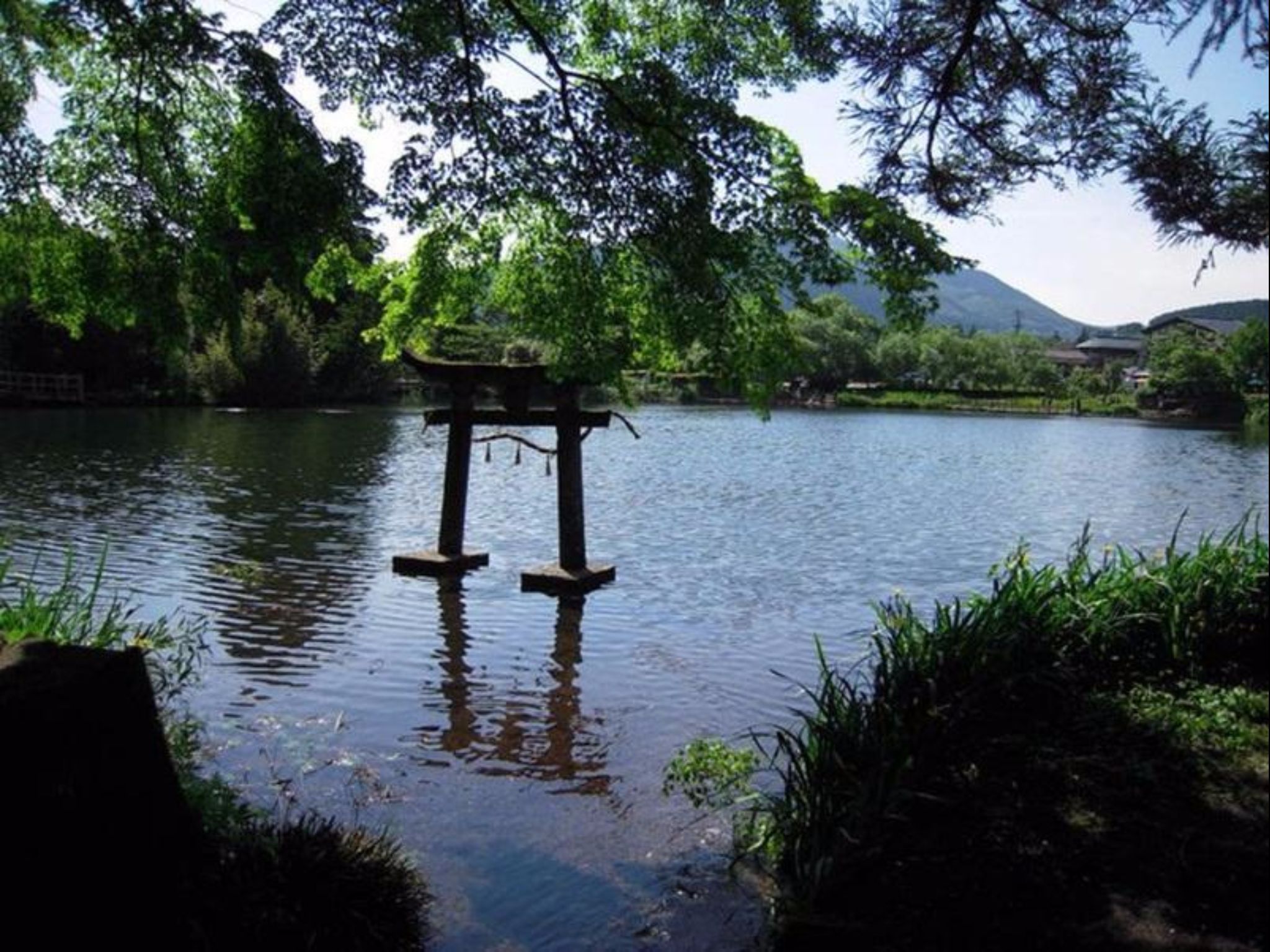 Yufuin Onsen Wafu Ryokan Tsuenosho