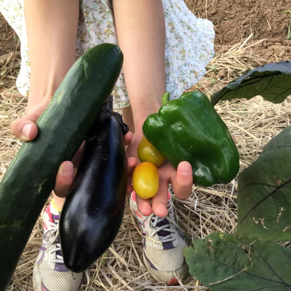 Nakasendo Ashida-Shuku Tateshina Akariya