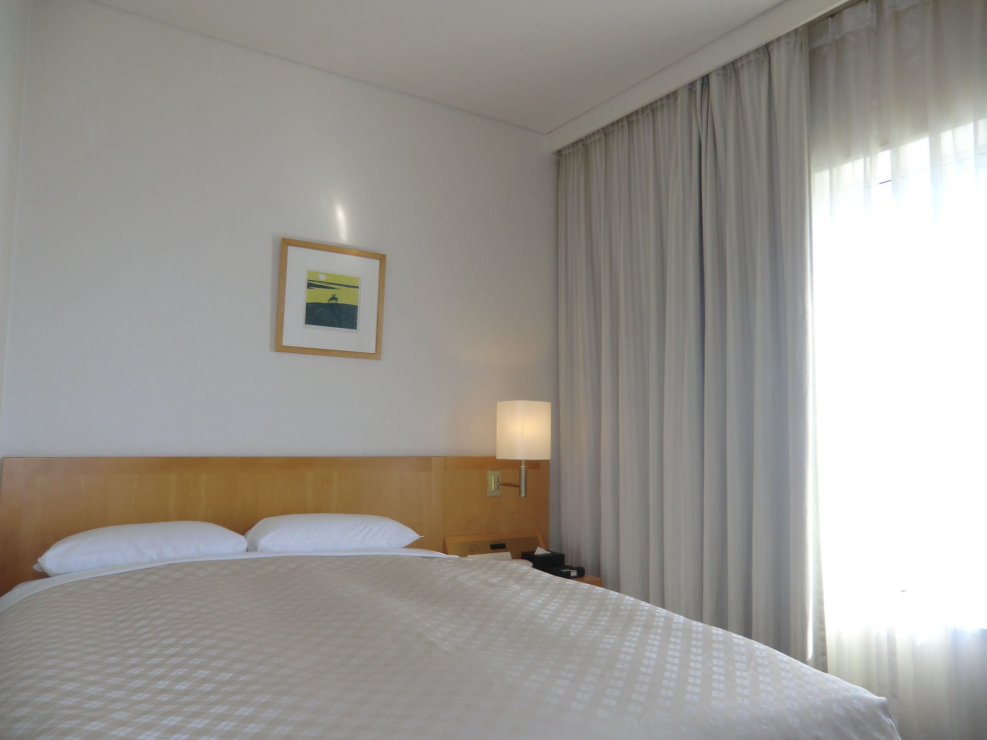 Kansai Airport Washington Hotel