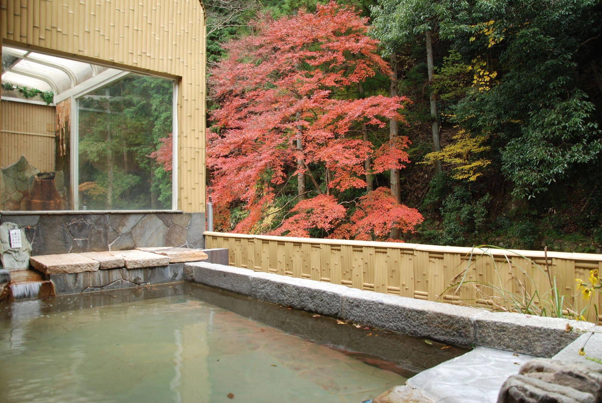 Okumizuma Onsen