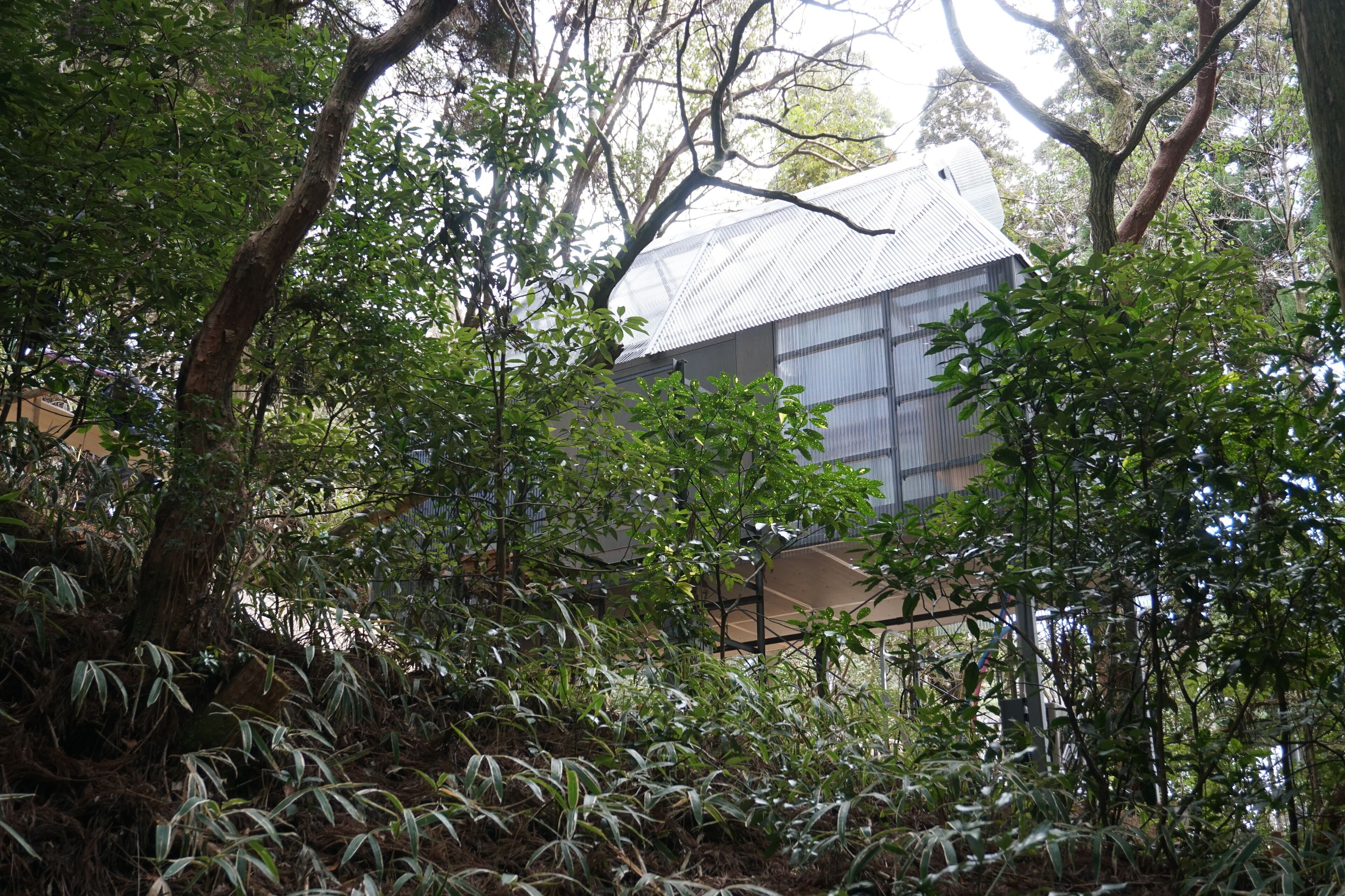 ThinkStay Mt