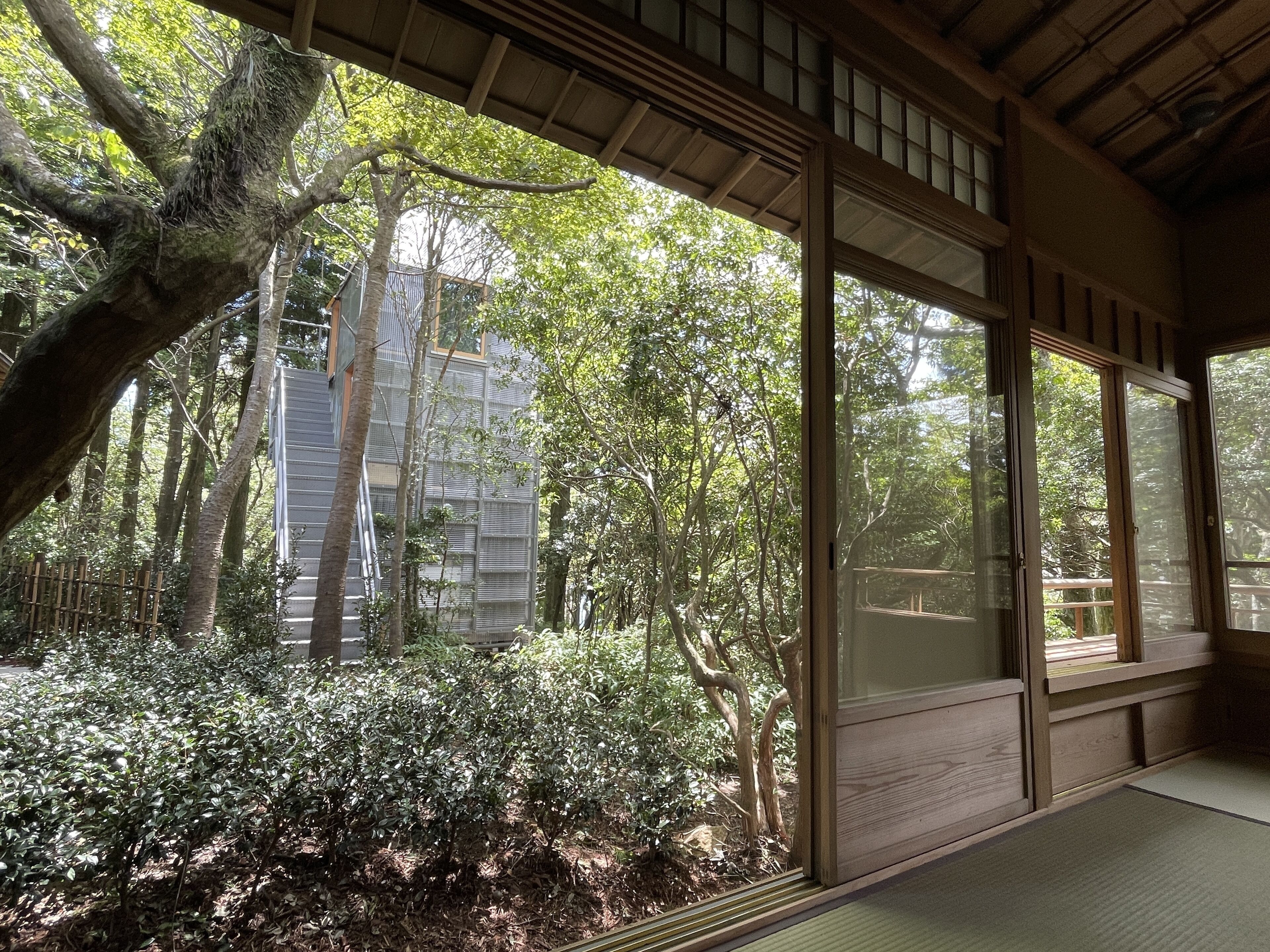 ThinkStay Mt
