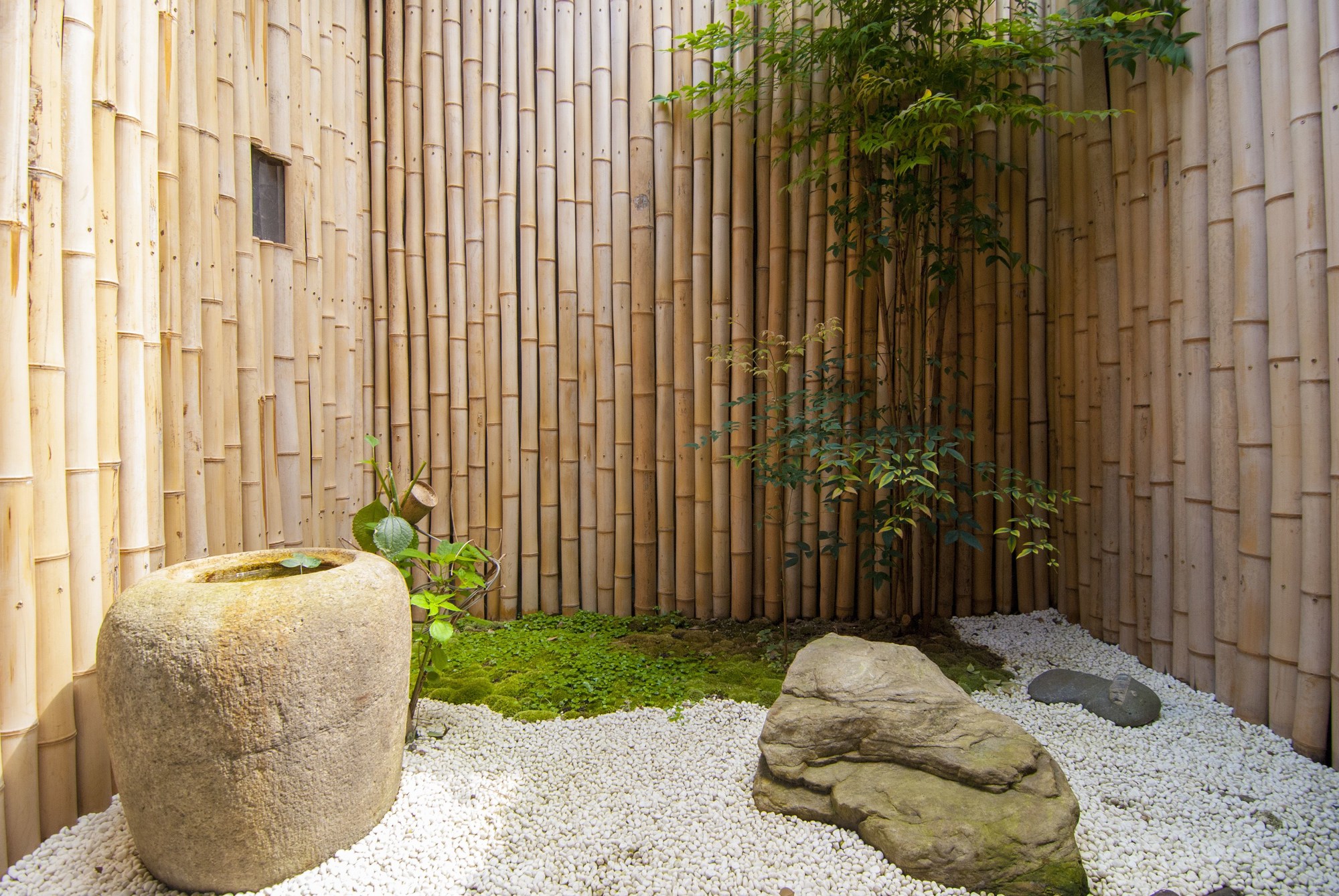 Bamboo Town