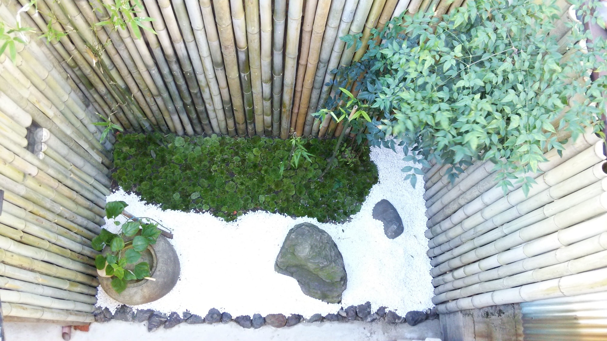 Bamboo Town
