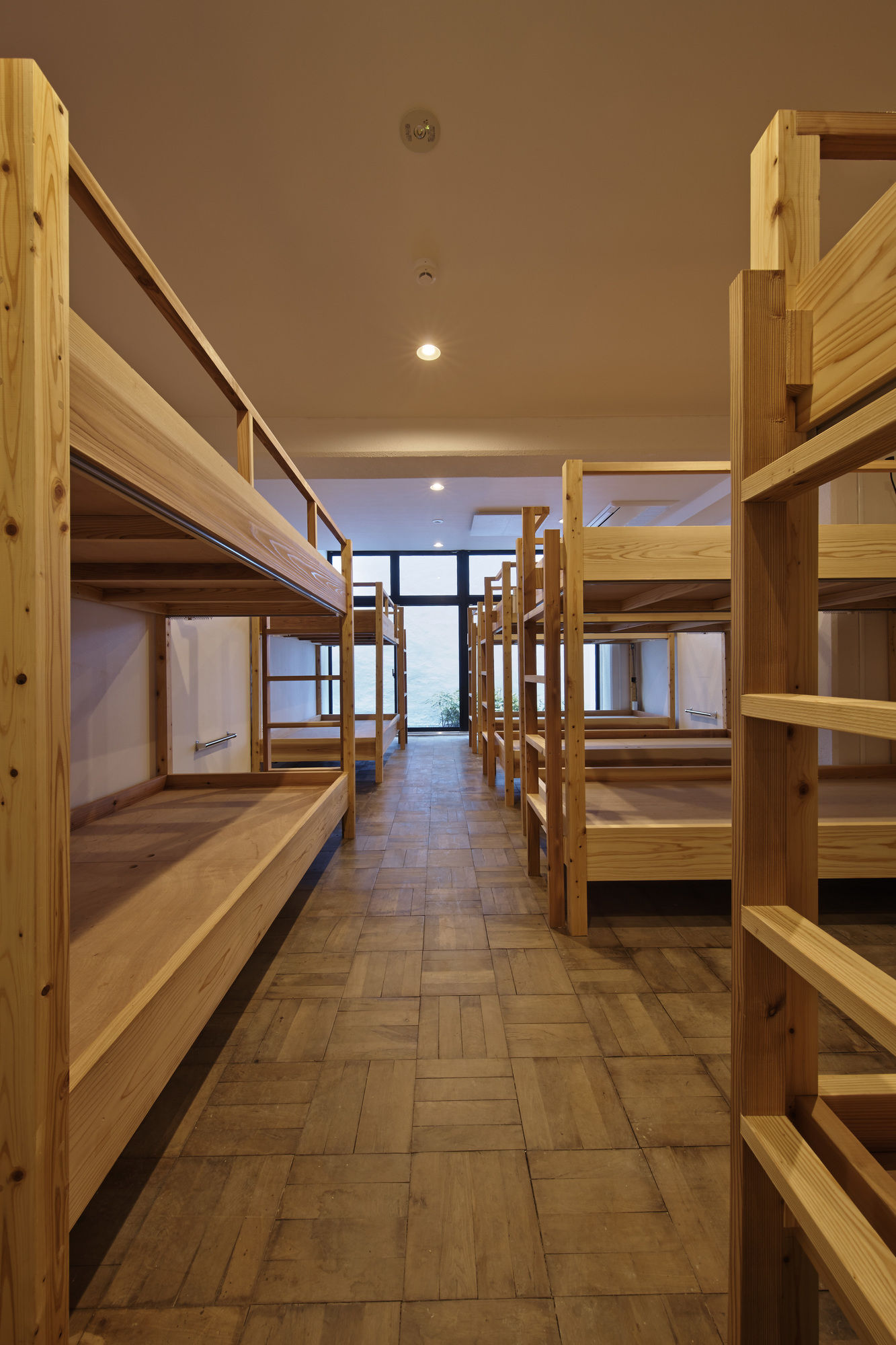 Bird Hostel