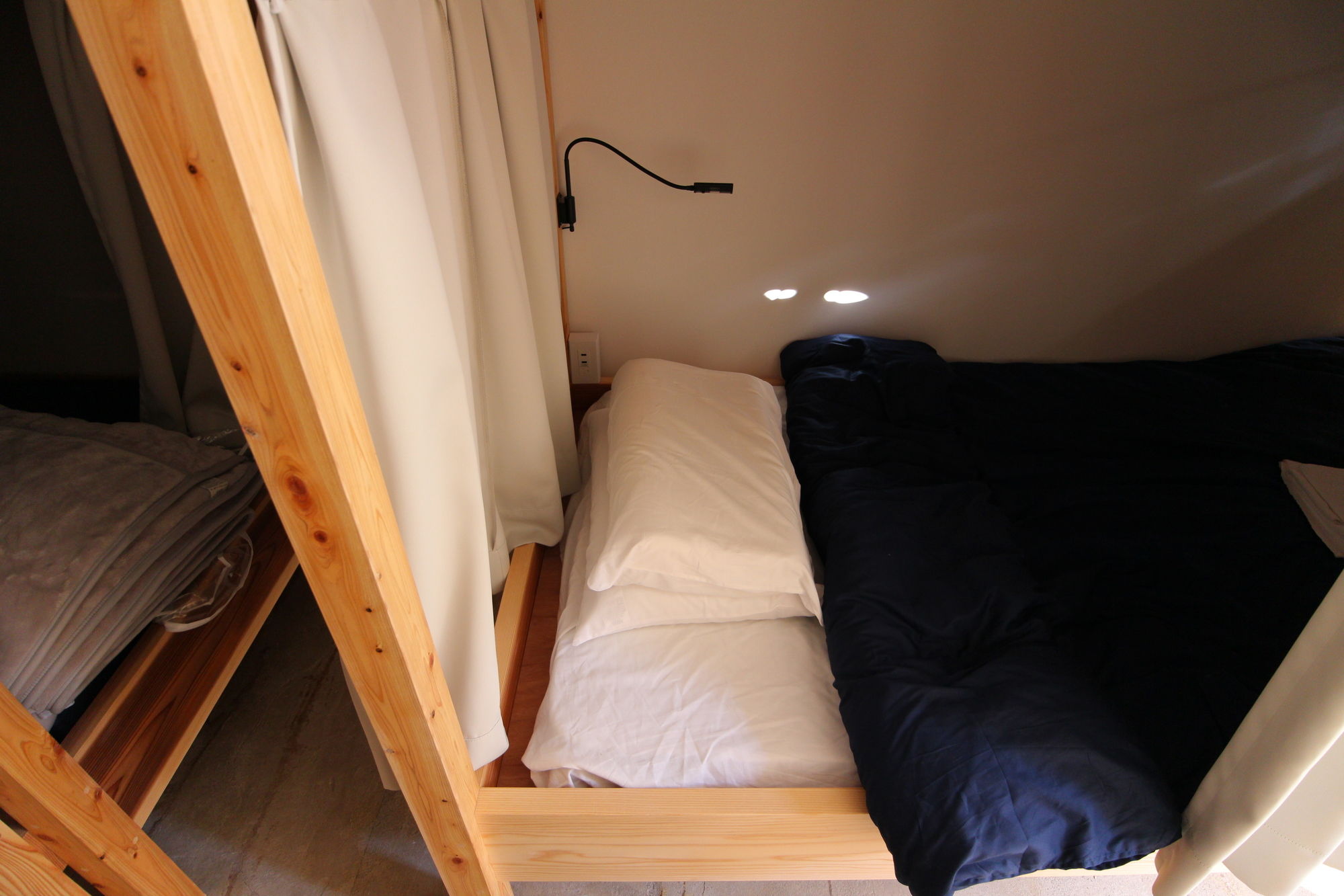 Bird Hostel