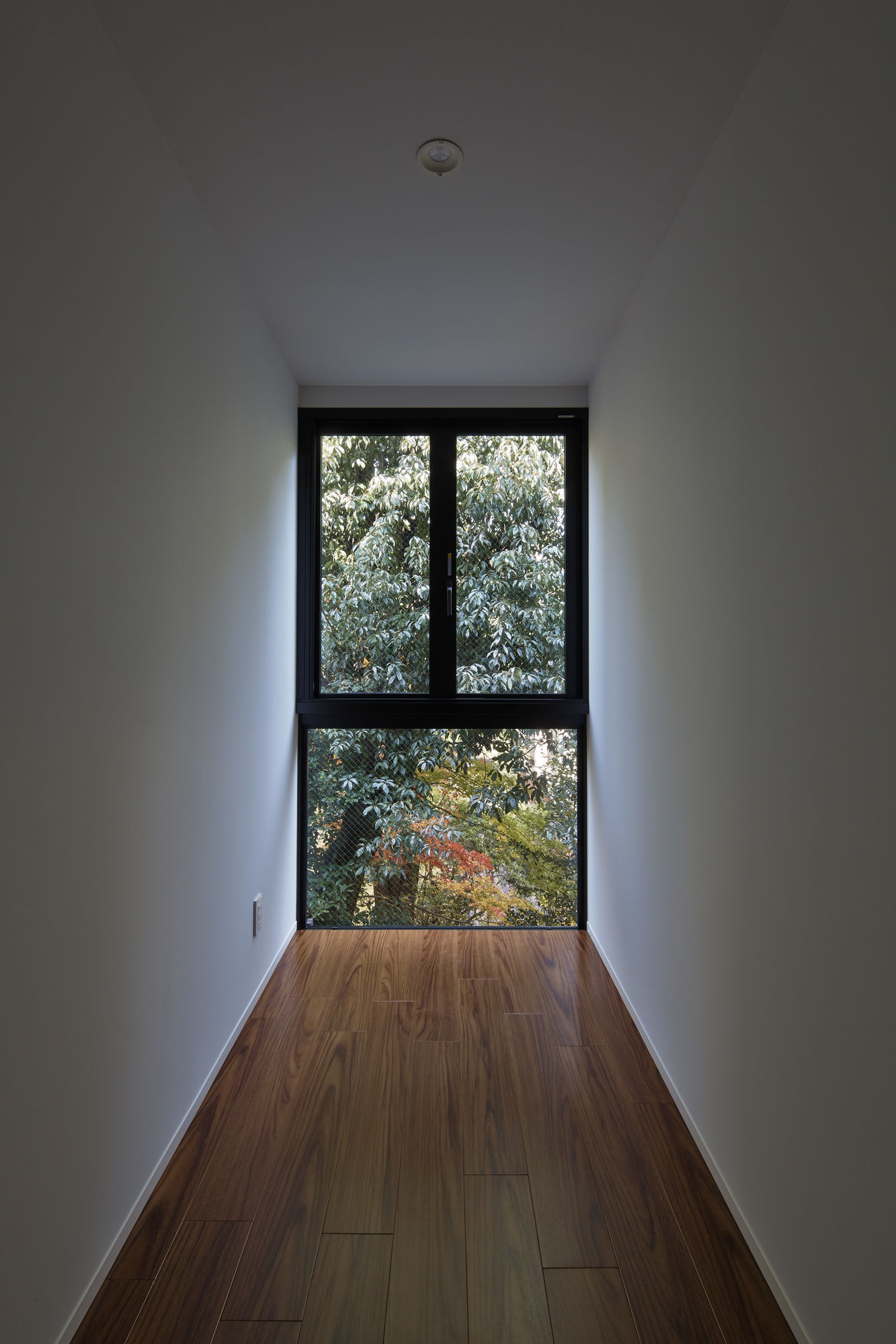 Bird Hostel