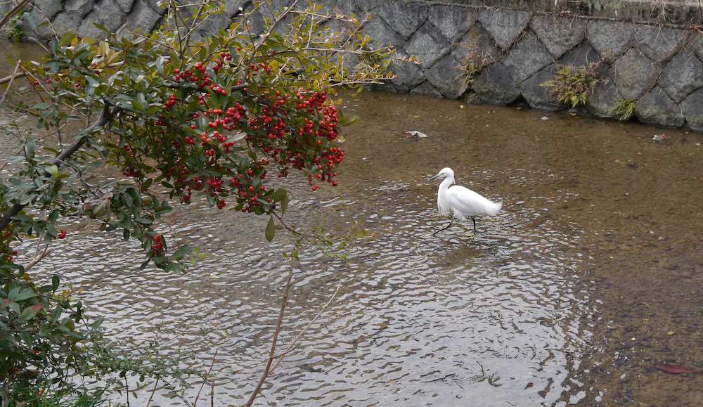 Canal House Takasegawa