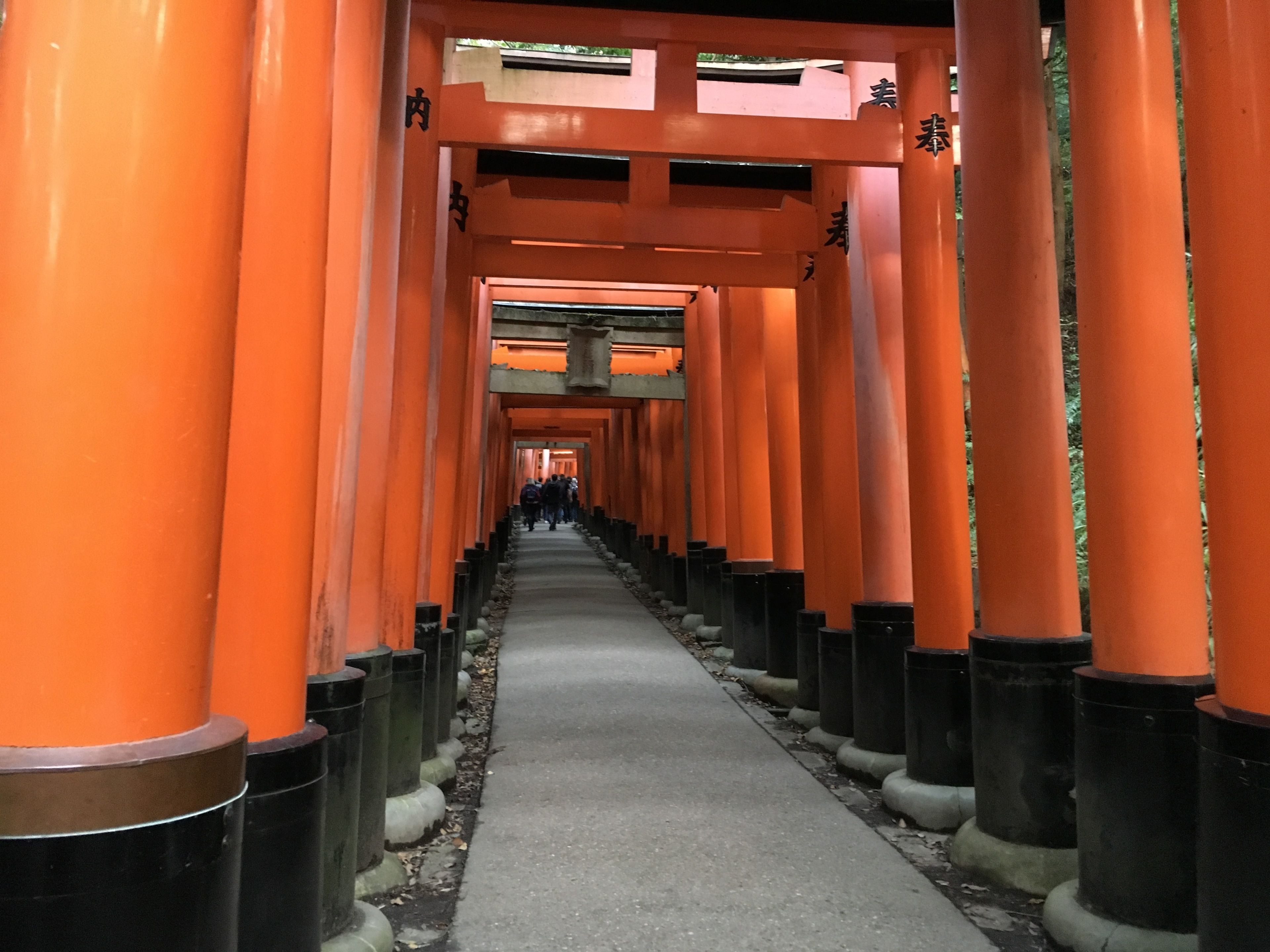 Cutter INN KYOTO