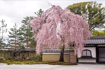 Du Ran Samurai Inn