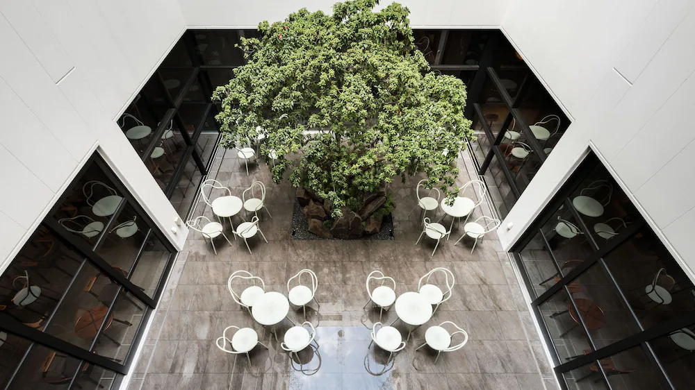 Kabin Kyoto