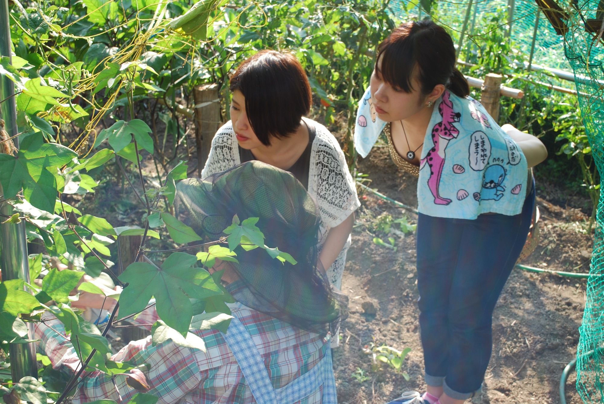 Farm Stay Banja