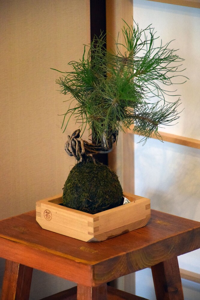 Guesthouse Hanamiya