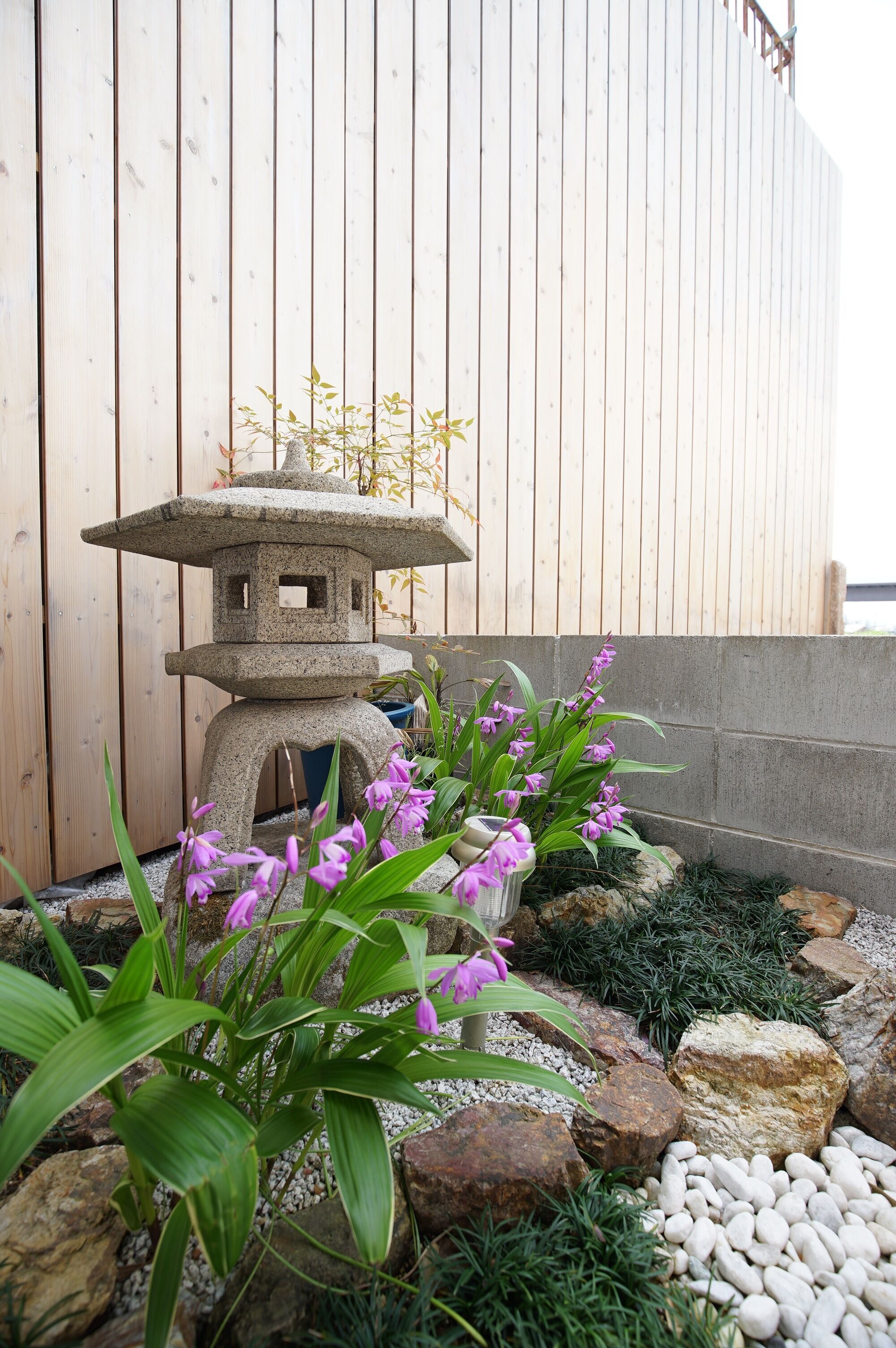 Guest Suites Fukugiku