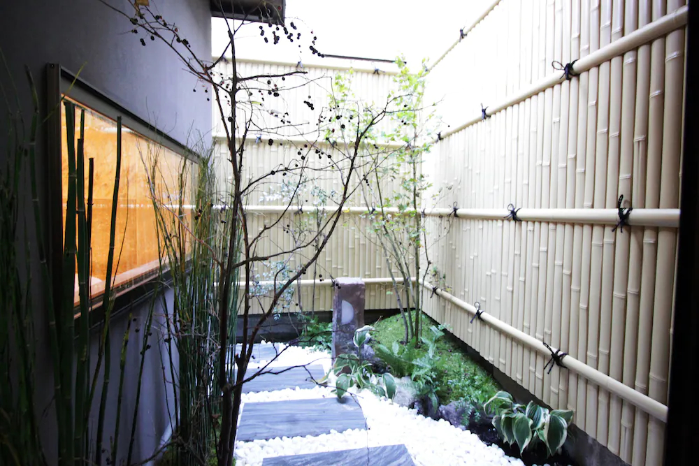 Hosta Nijo Sen