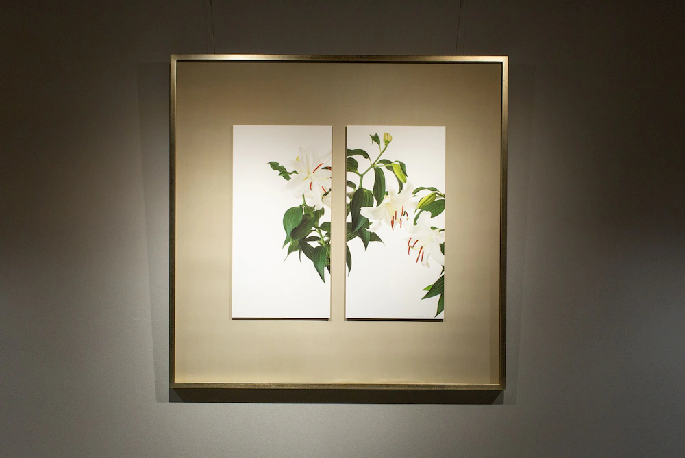 Hotel Amanek Kyoto Kawaramachi Gojo
