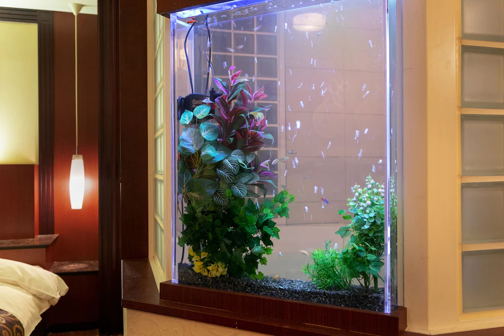 Hotel & Spa Lotus