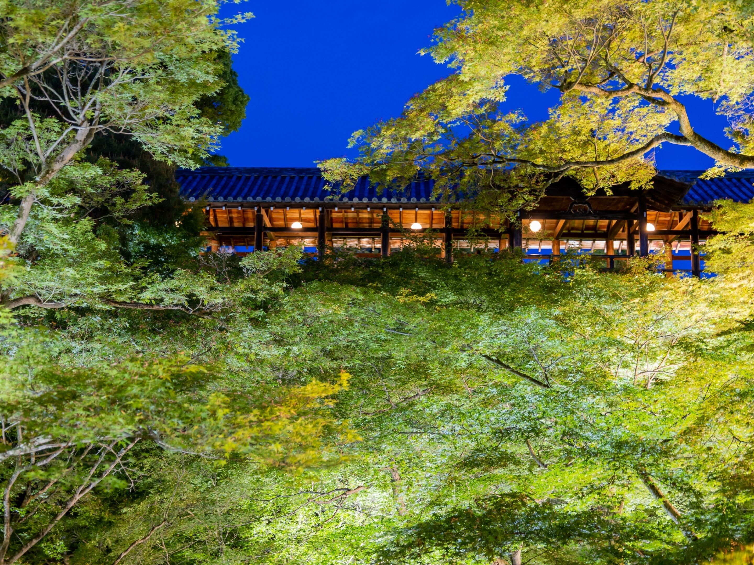 Hotel Keihan Kyotoeki Minami