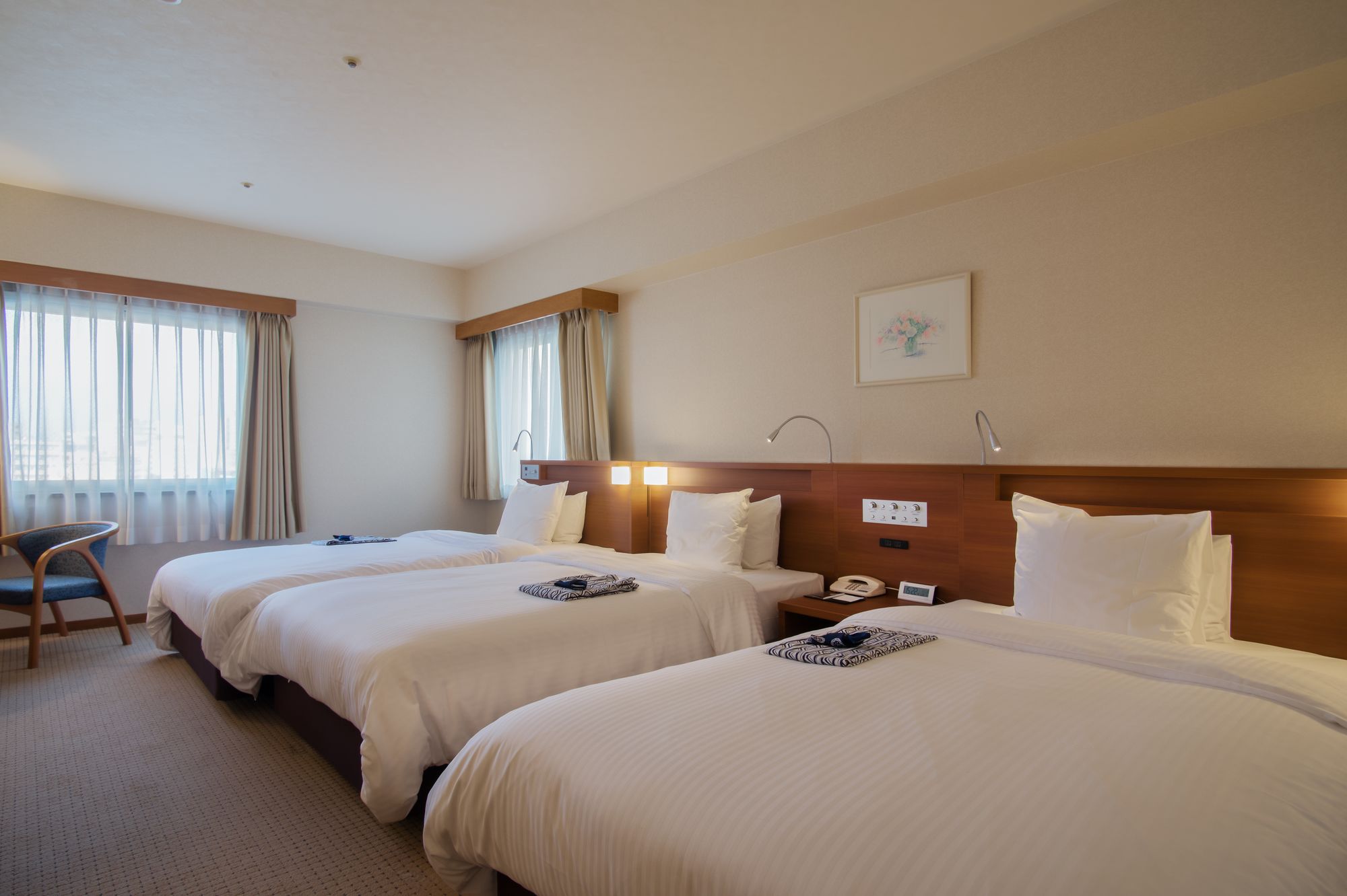 Hotel San Crane