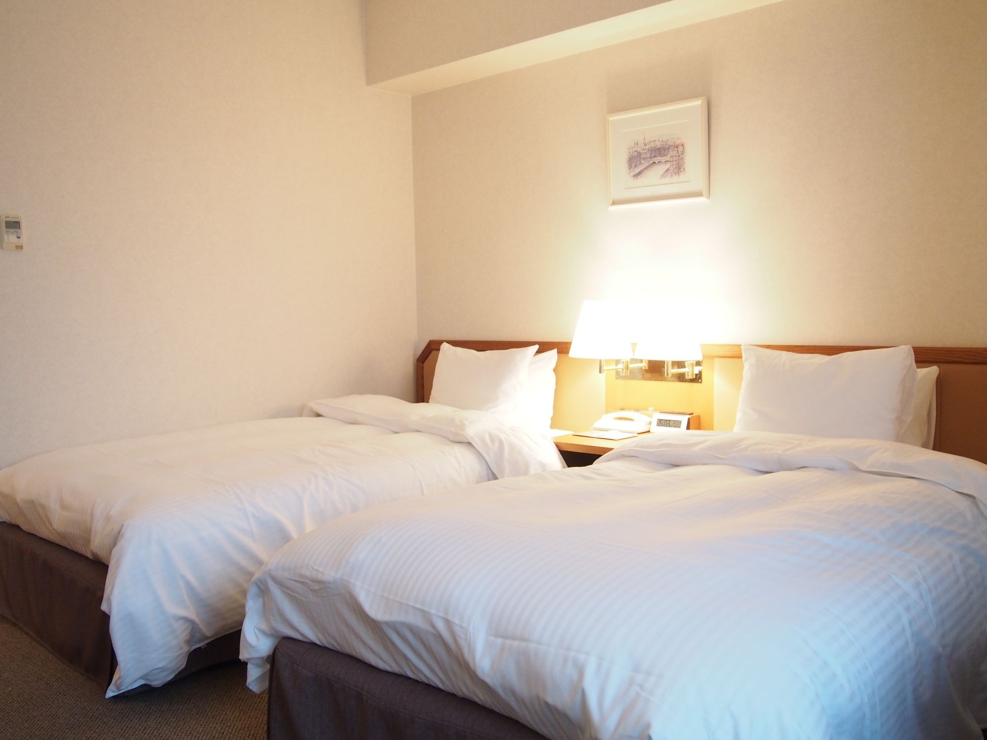 Hotel San Crane