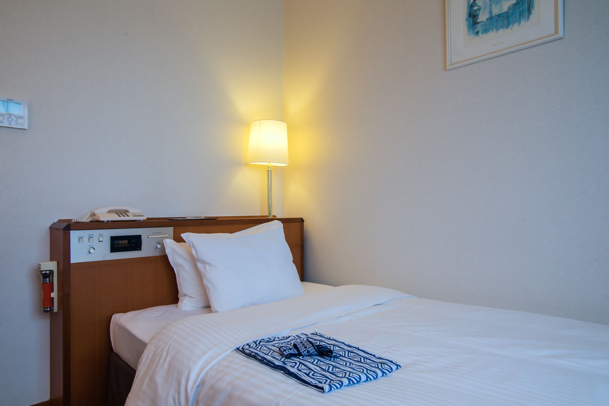Hotel San Crane