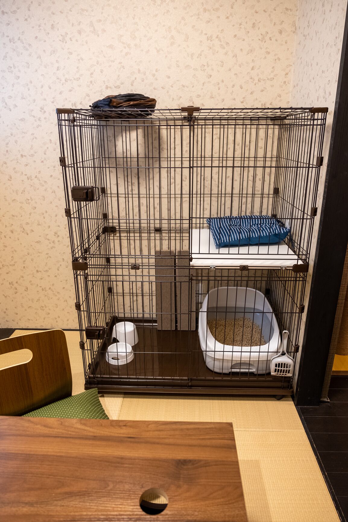 Inu to Neko ni Yasashii Oyado Kyoto