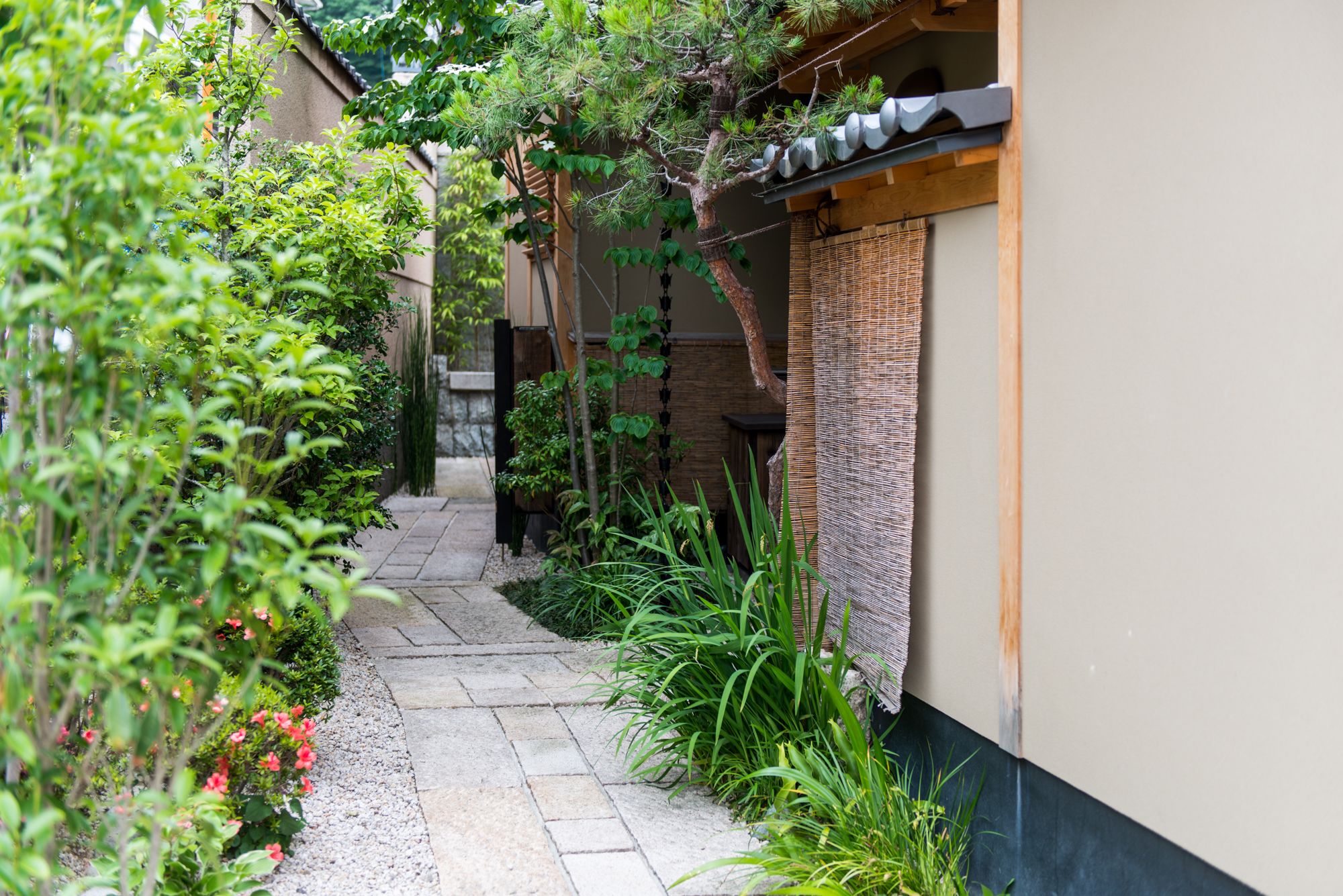 Kiyomizu-tei