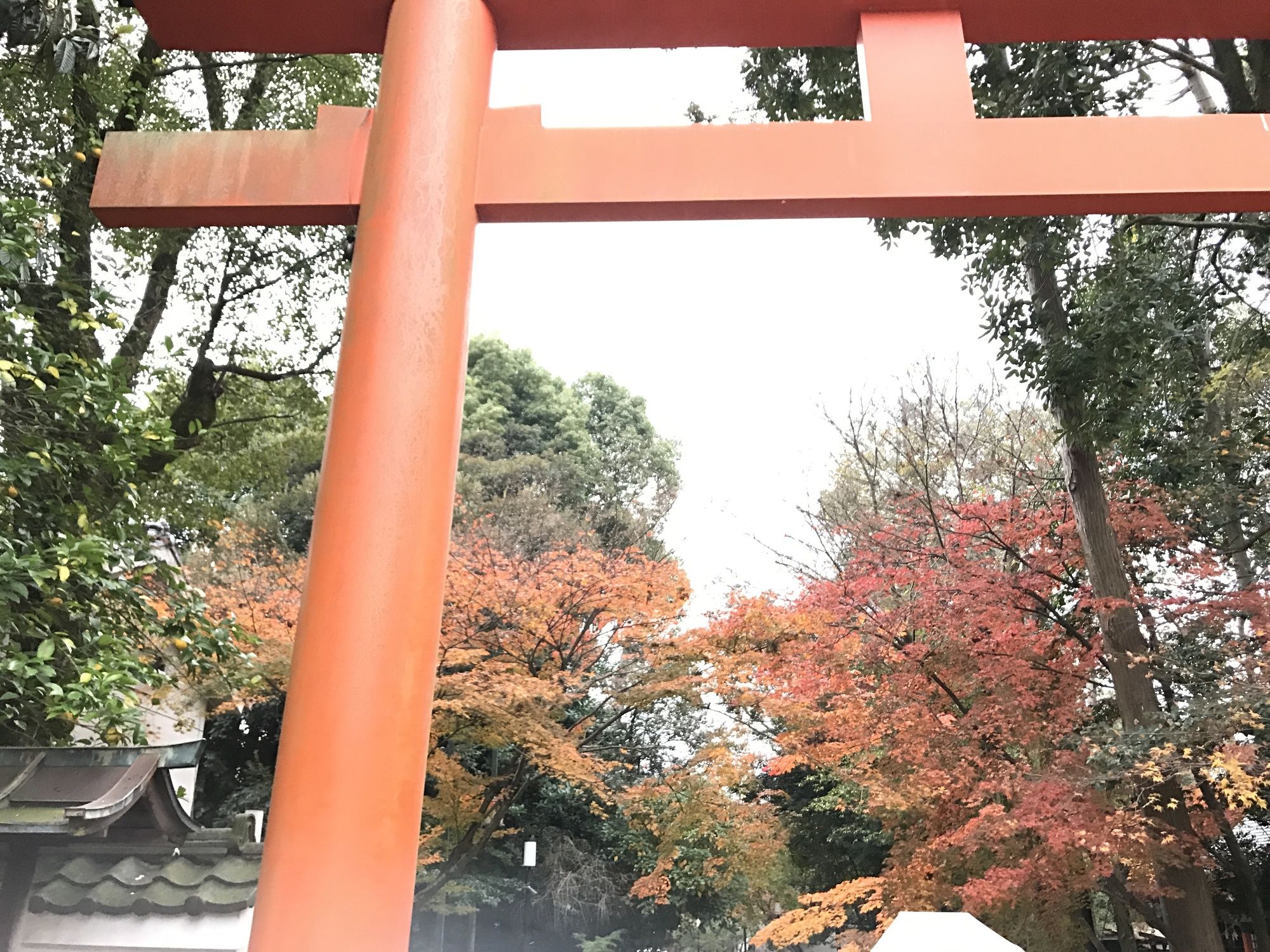 OYO Hotel MUSUBI KYOTO Higashiyama Gojo