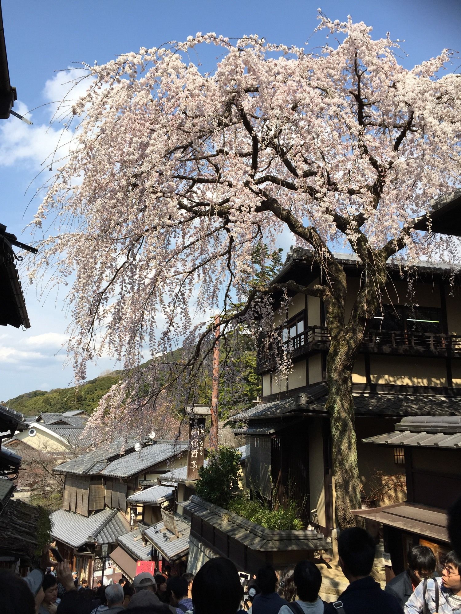 OYO Hotel MUSUBI KYOTO Higashiyama Gojo