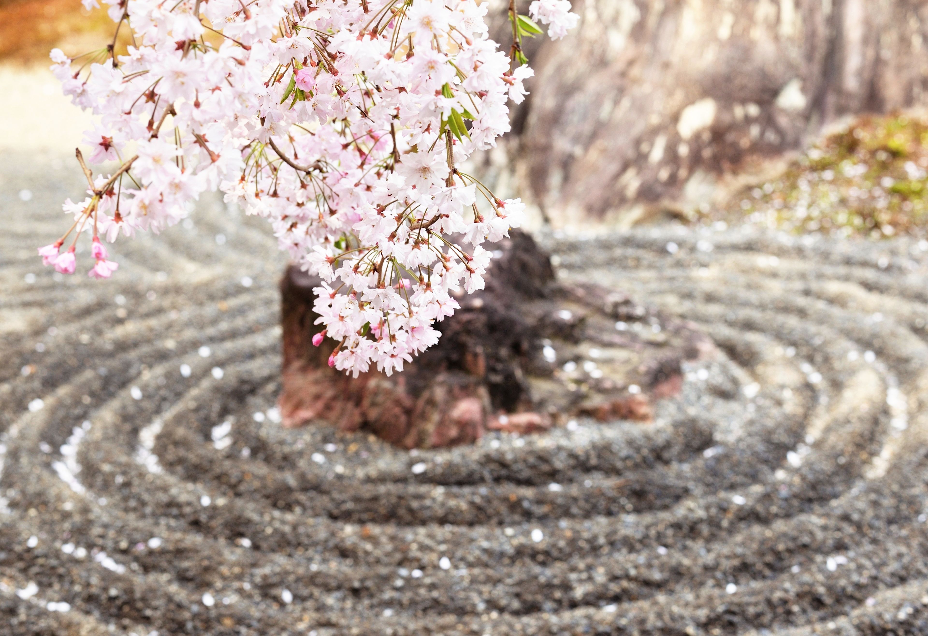 Kyo no Ondokoro Nishijin Villa