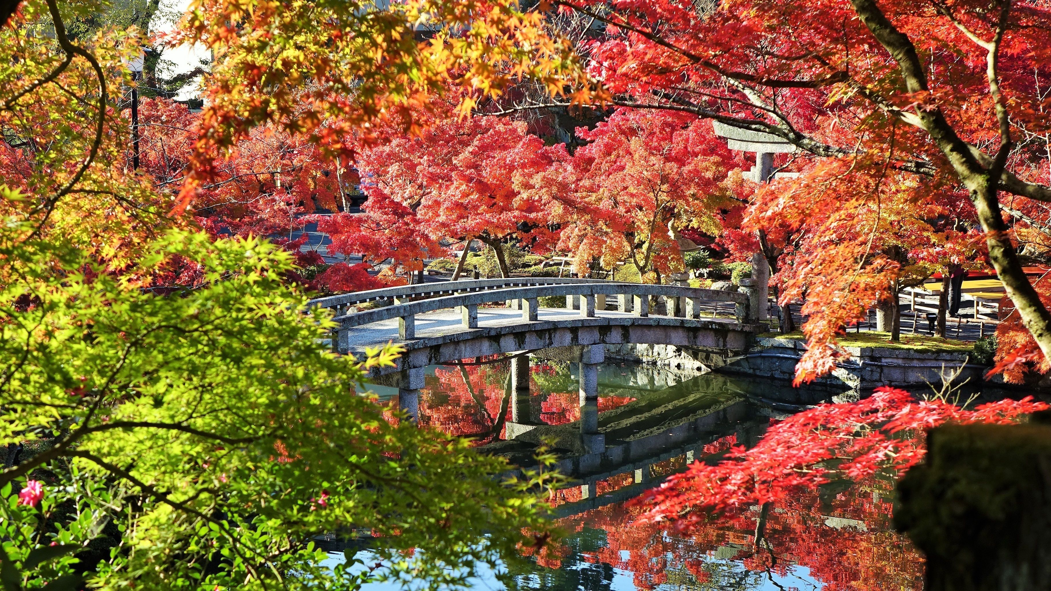 Kyo no Ondokoro Nishijin Villa