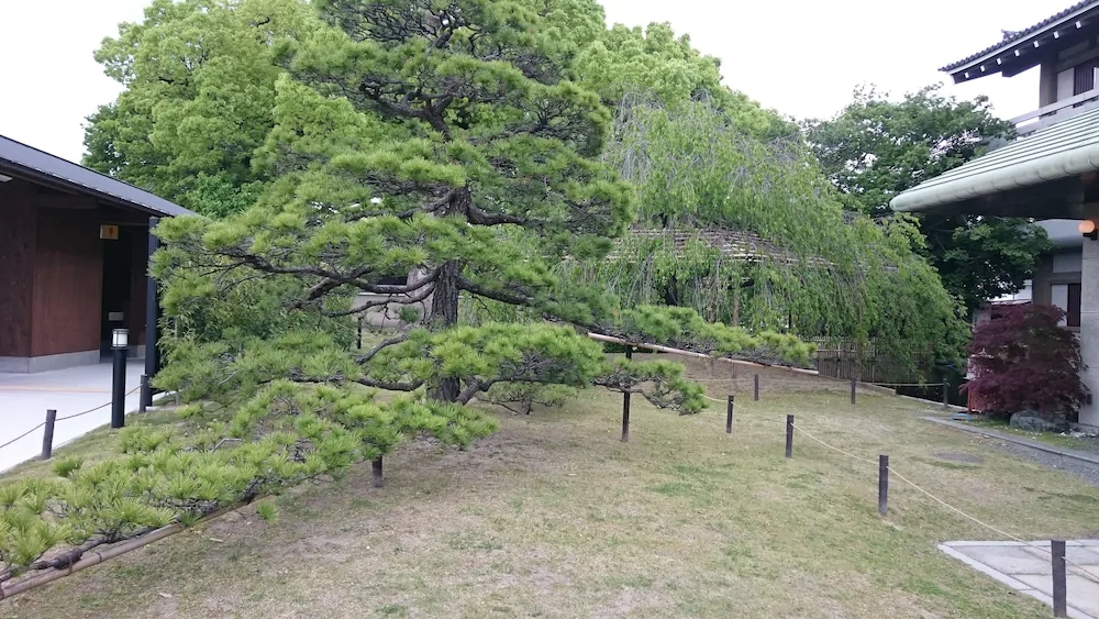 Kyo no Yado Senkaku Bettei