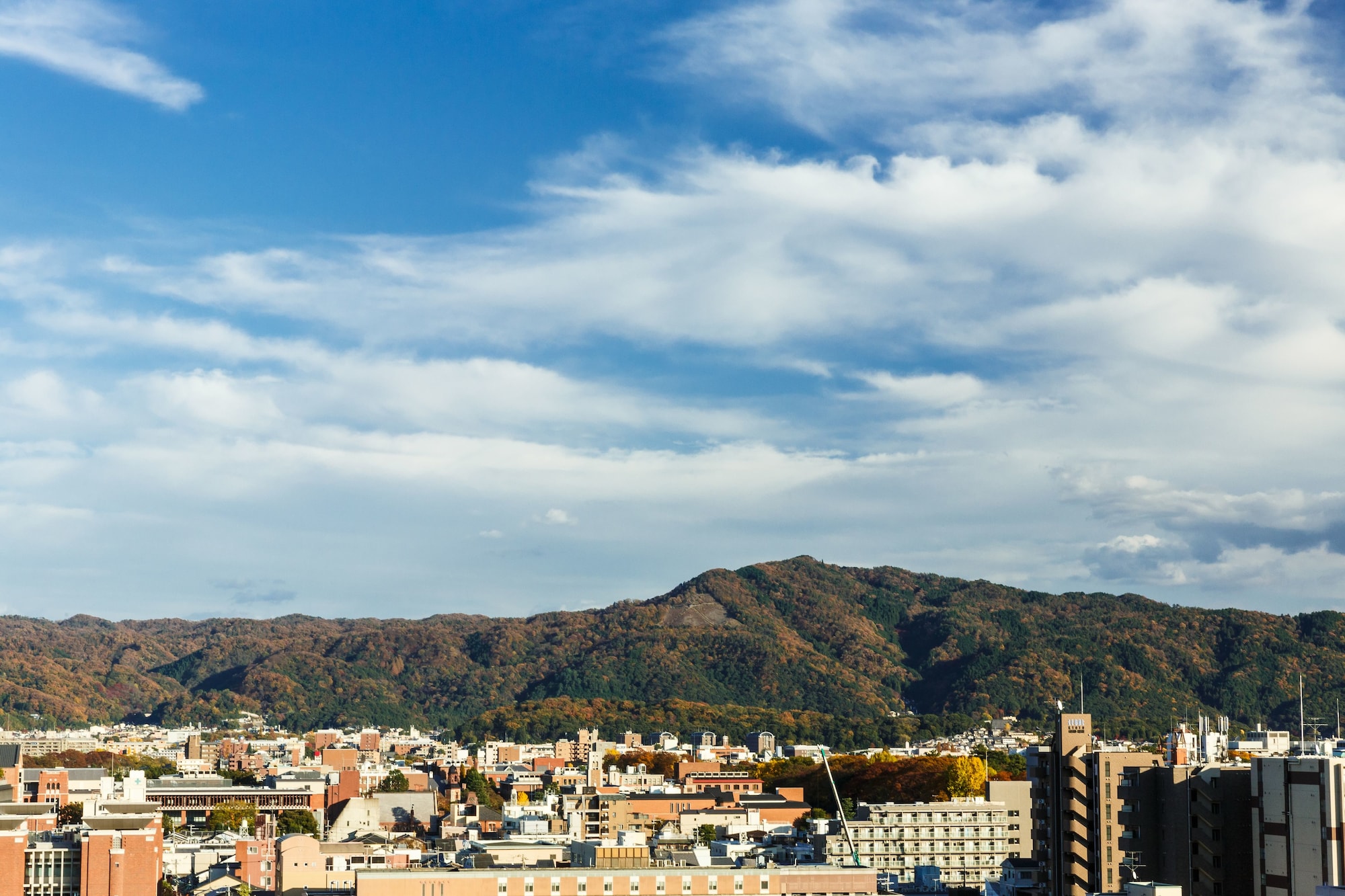 Kyoto City Hotel