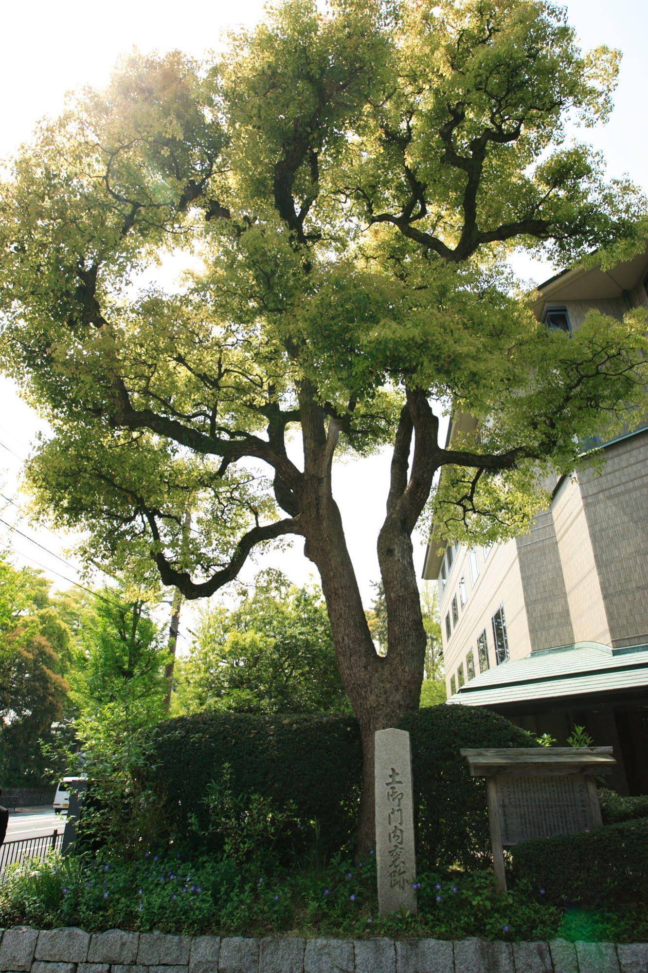 Kyoto Garden Palace