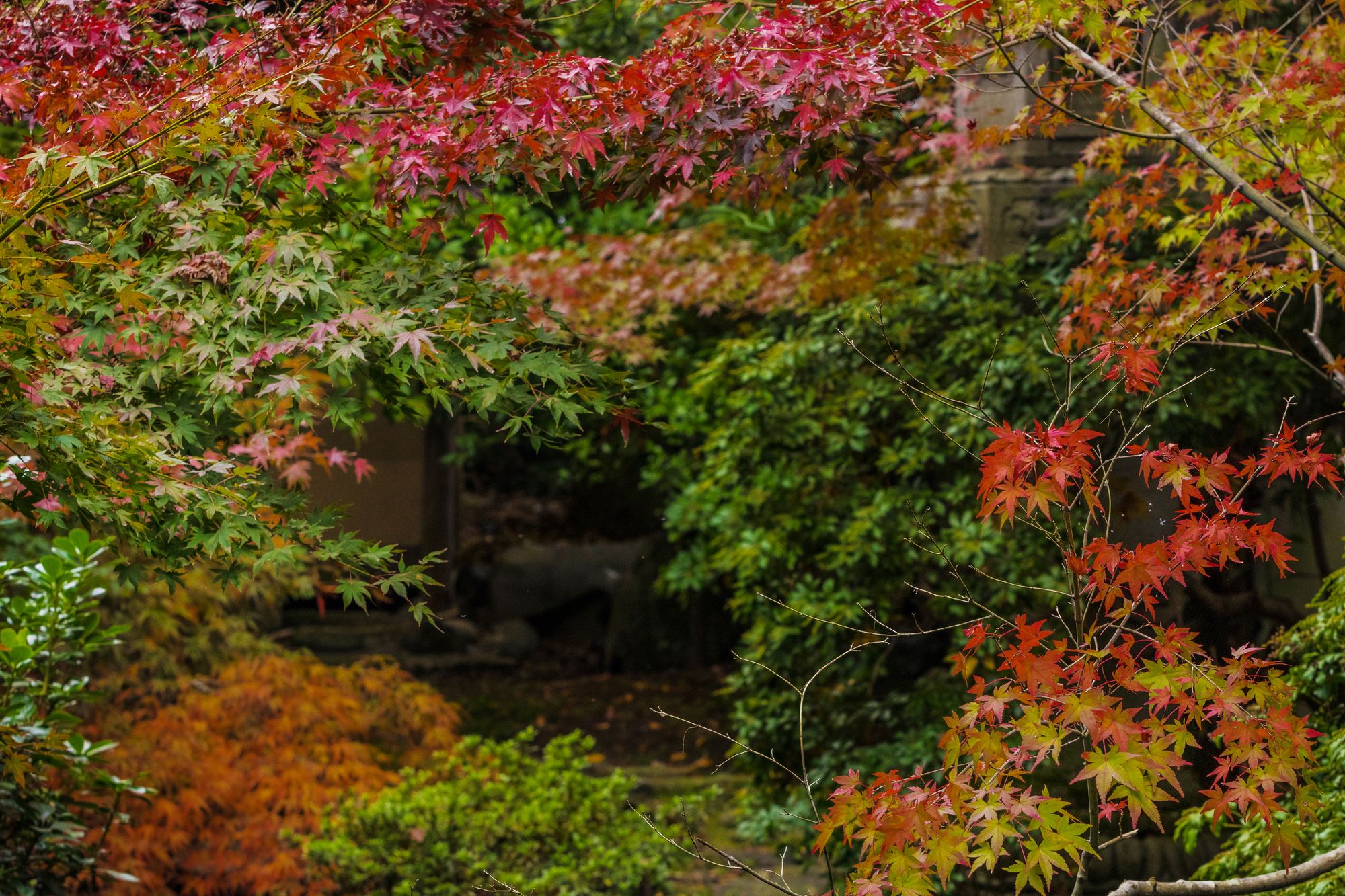 Kyoto Garden Ryokan Yachiyo