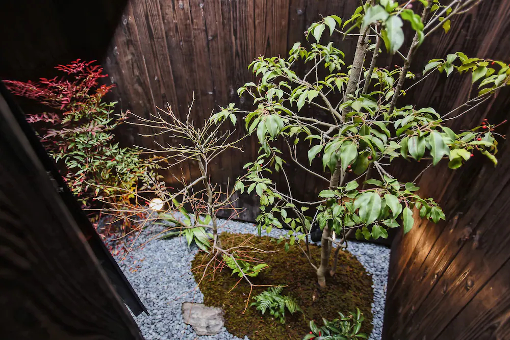Kyoto Kiyomizudera Muyusya