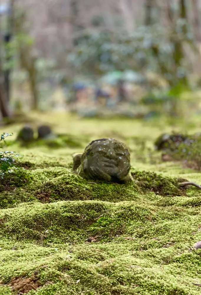 Kyoto Ohara Ryokan Seryo