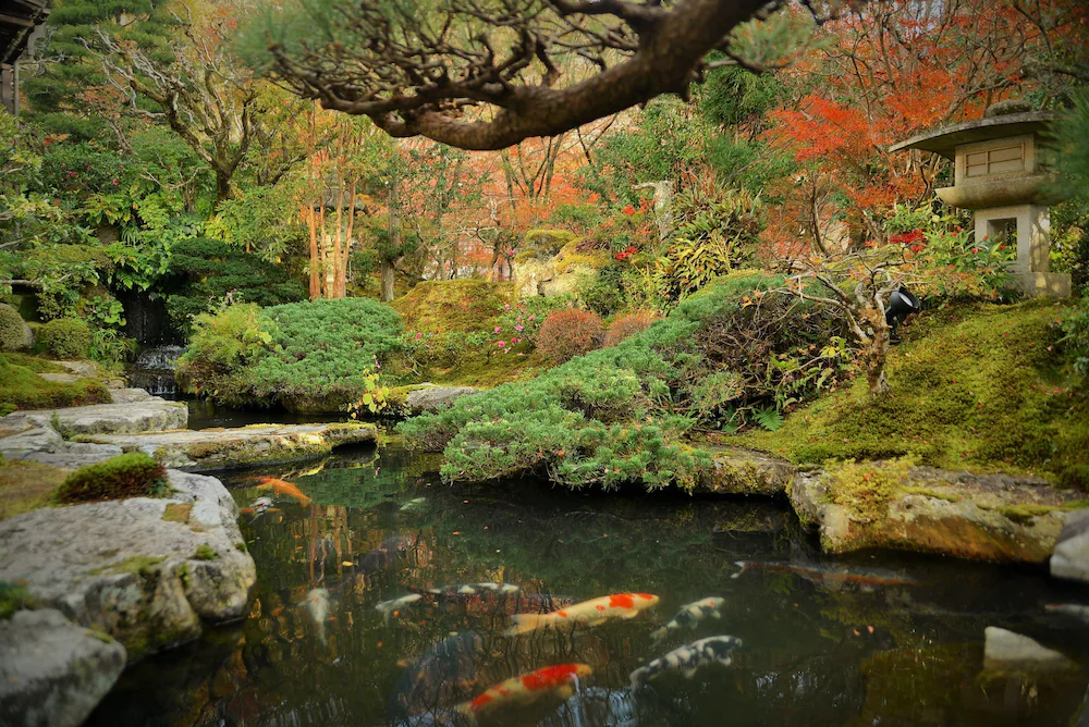 Kyoto Ohara Ryokan Seryo