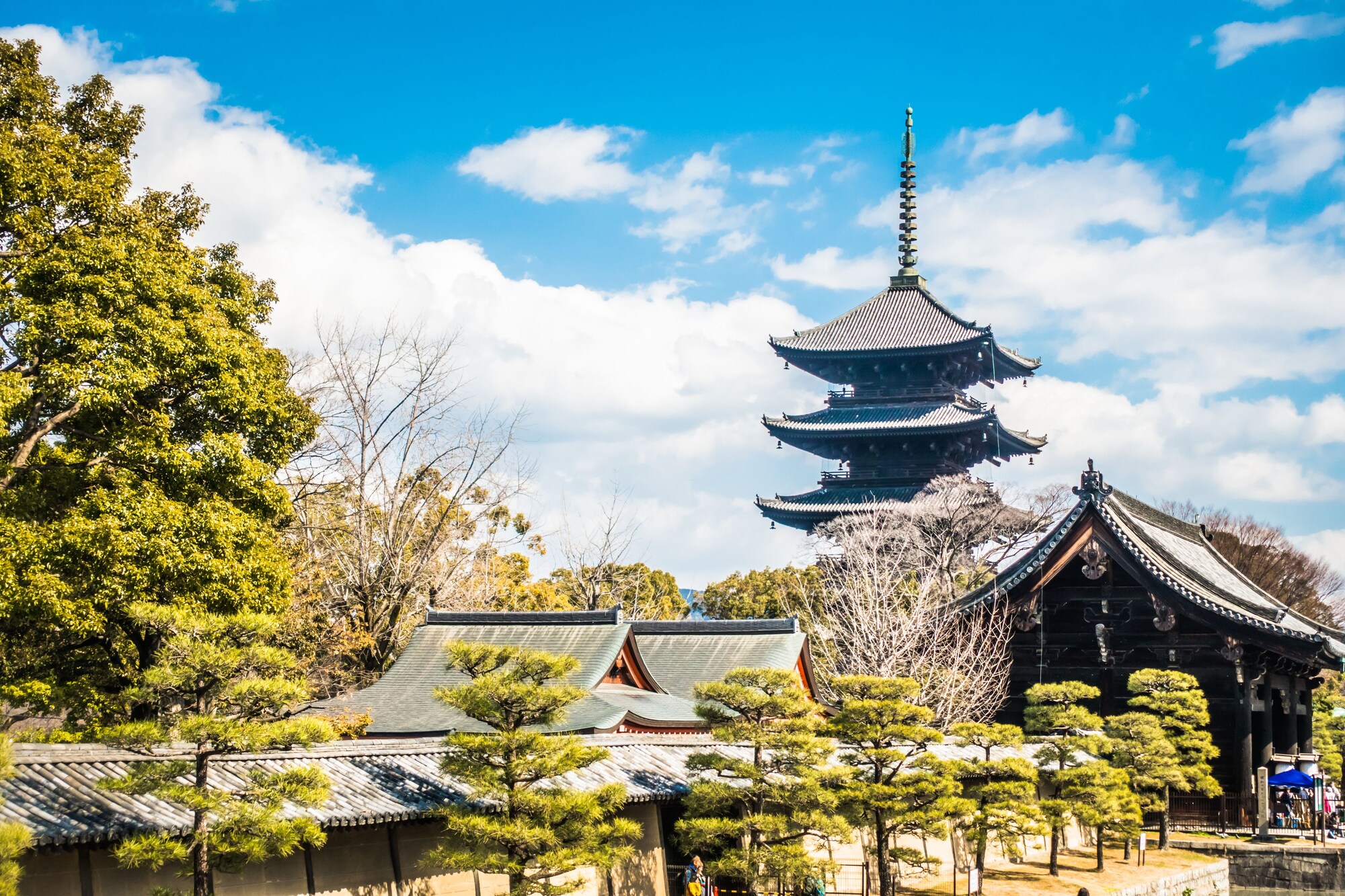 Kyoto Stay Sakura Toji South 2