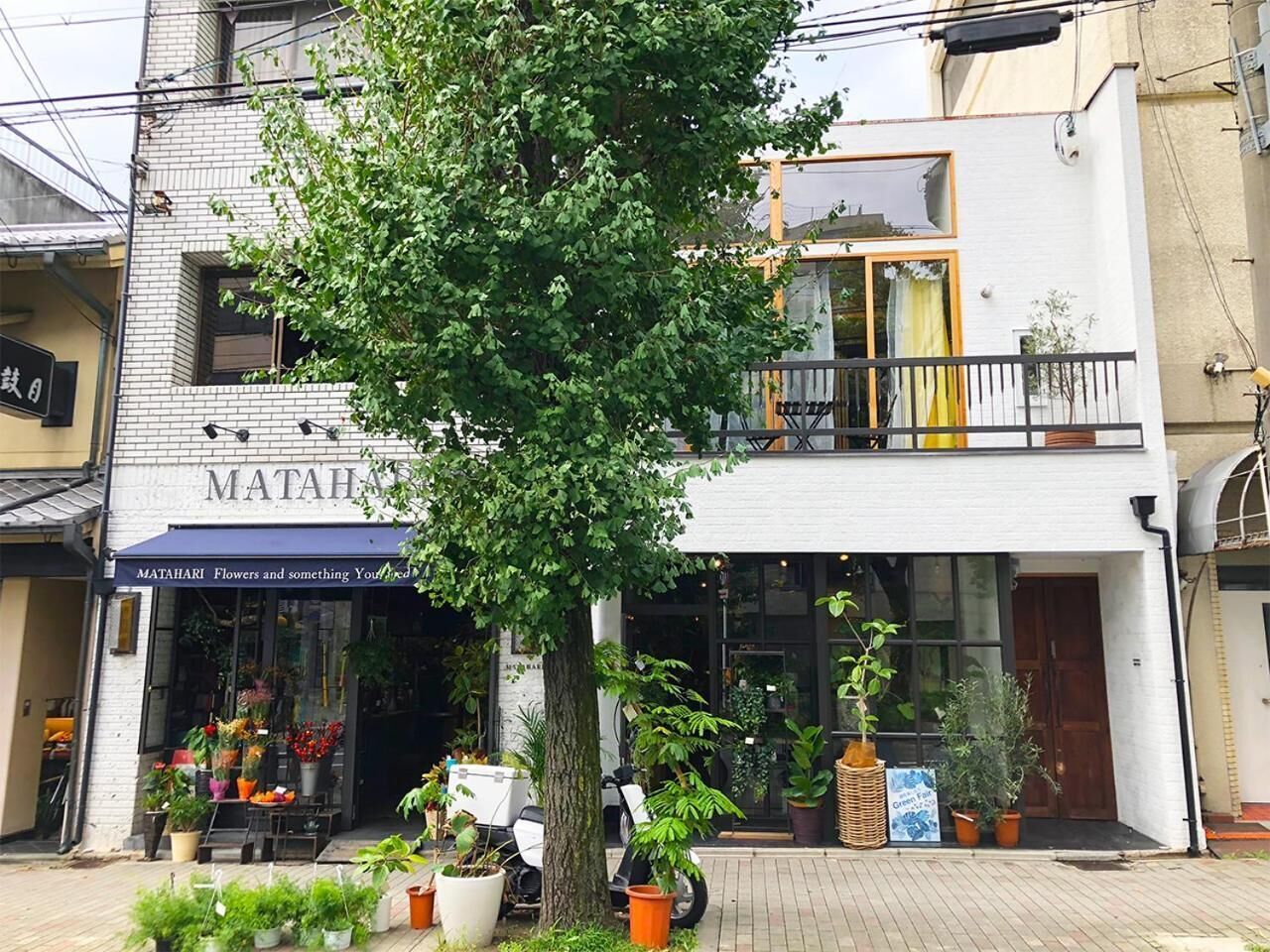 Matahari Annex Stay
