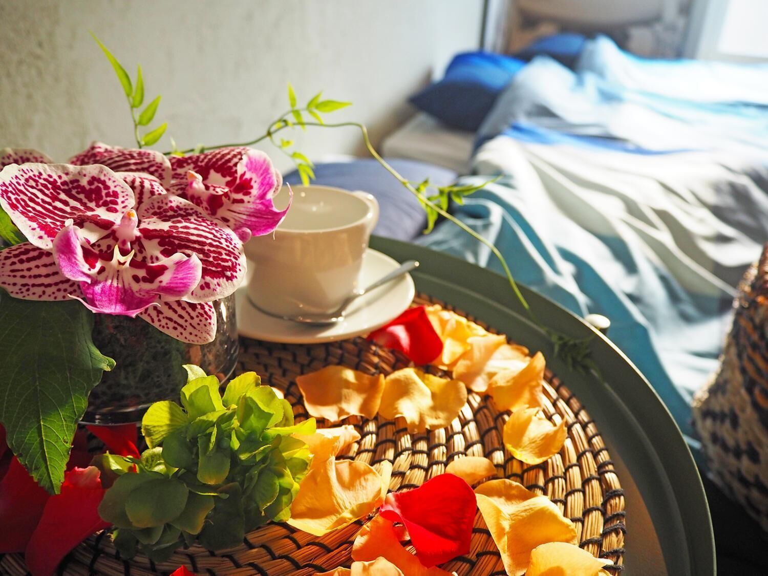 Matahari Annex Stay