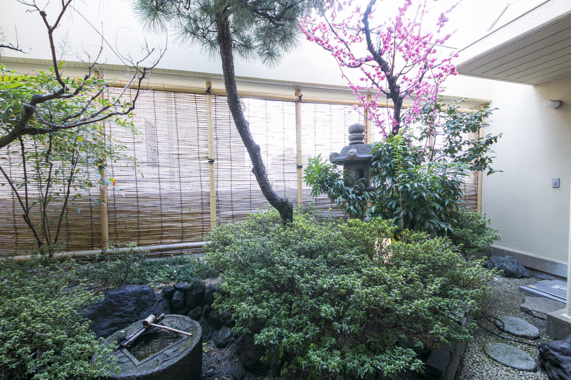 Matsui Honkan Ryokan