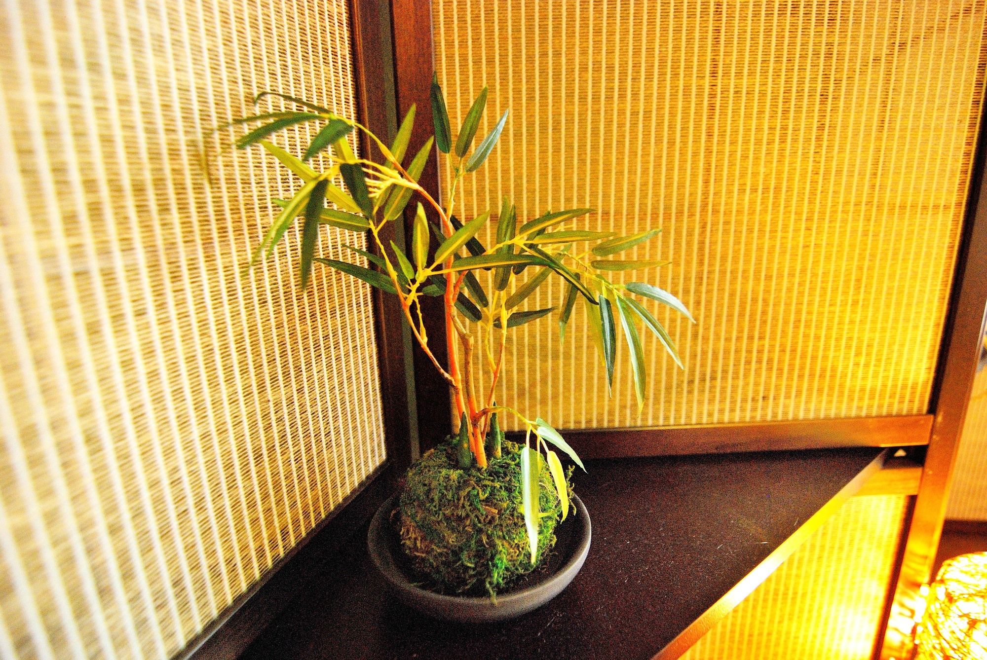 Miyabian House