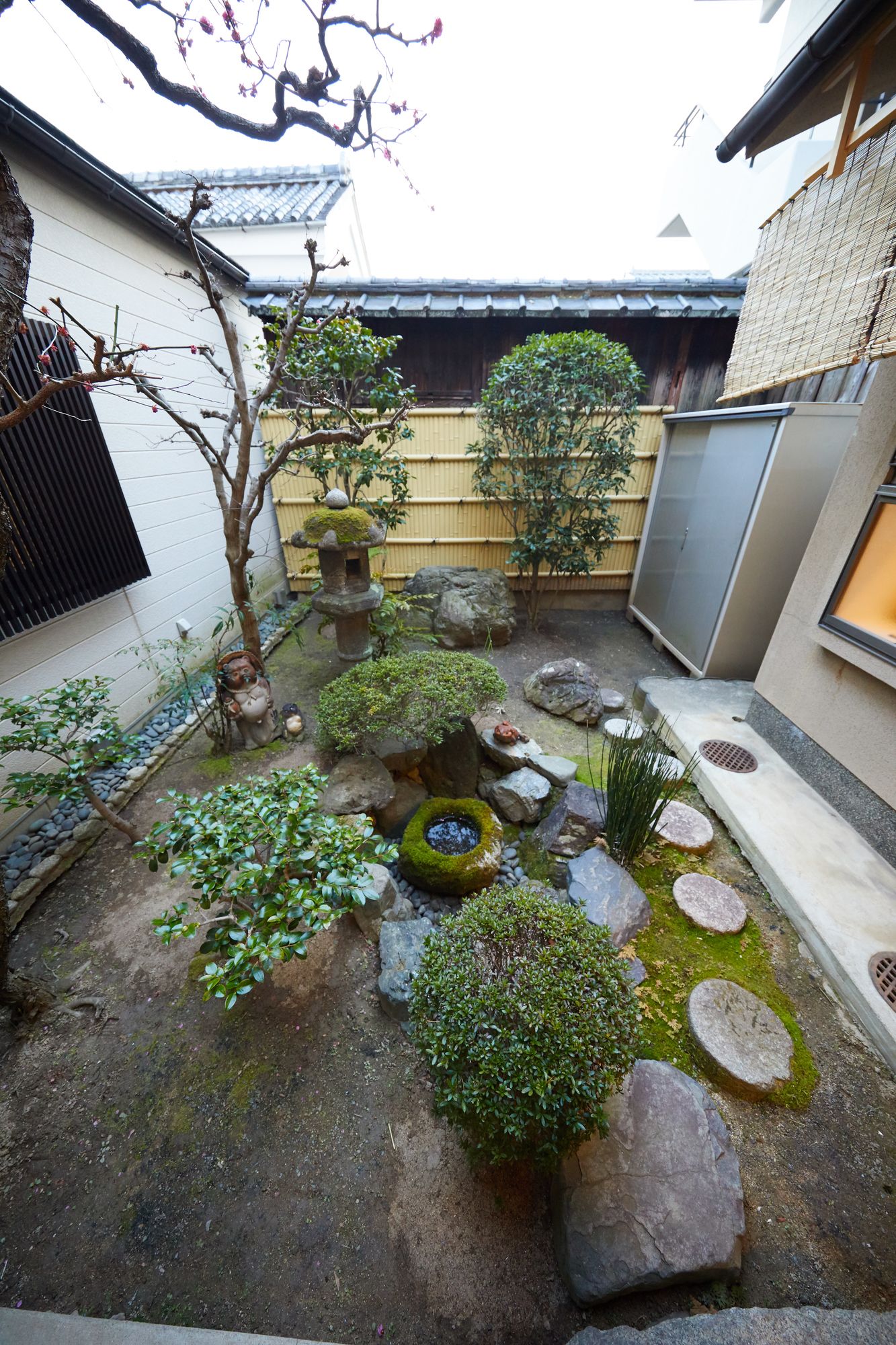 Miyazakiya