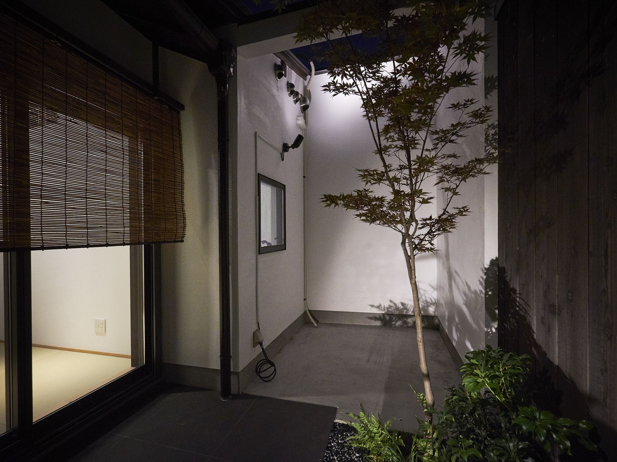 Nishijinkita Ajisai