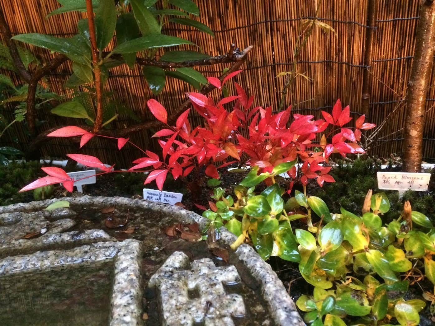 Nishijin No Sato