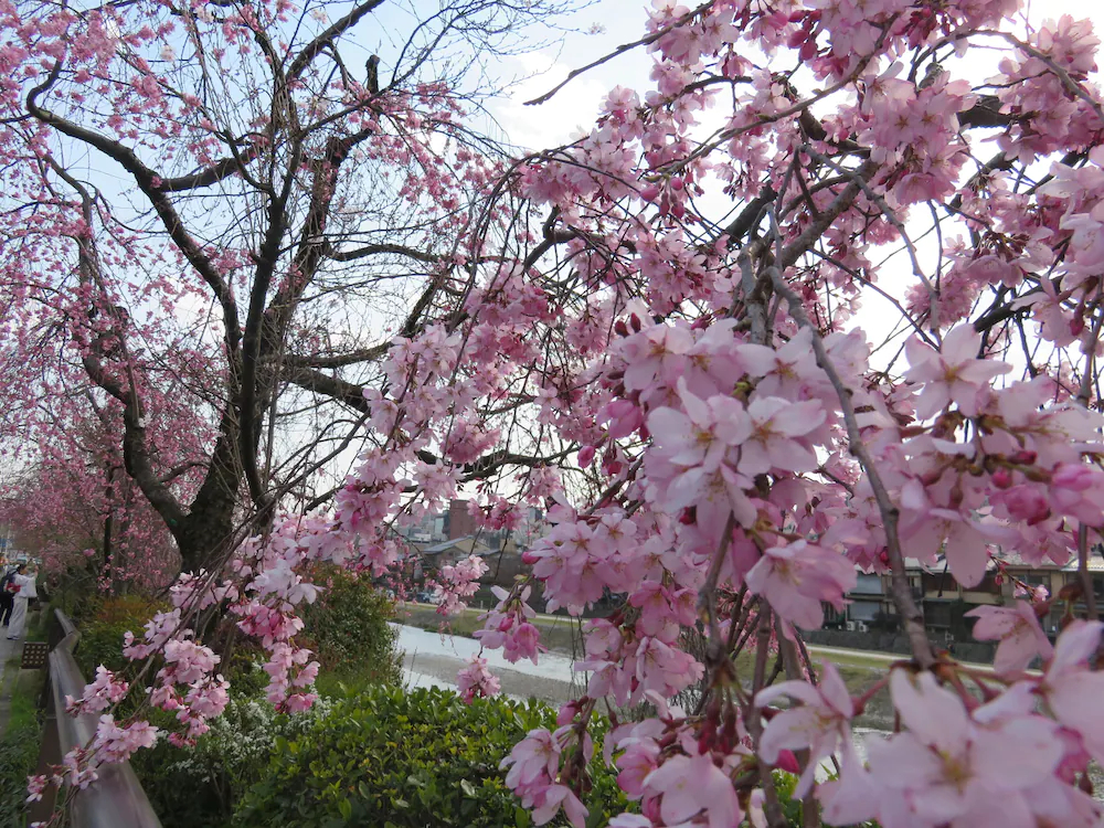 RESI STAY Higashiyama Sanjo