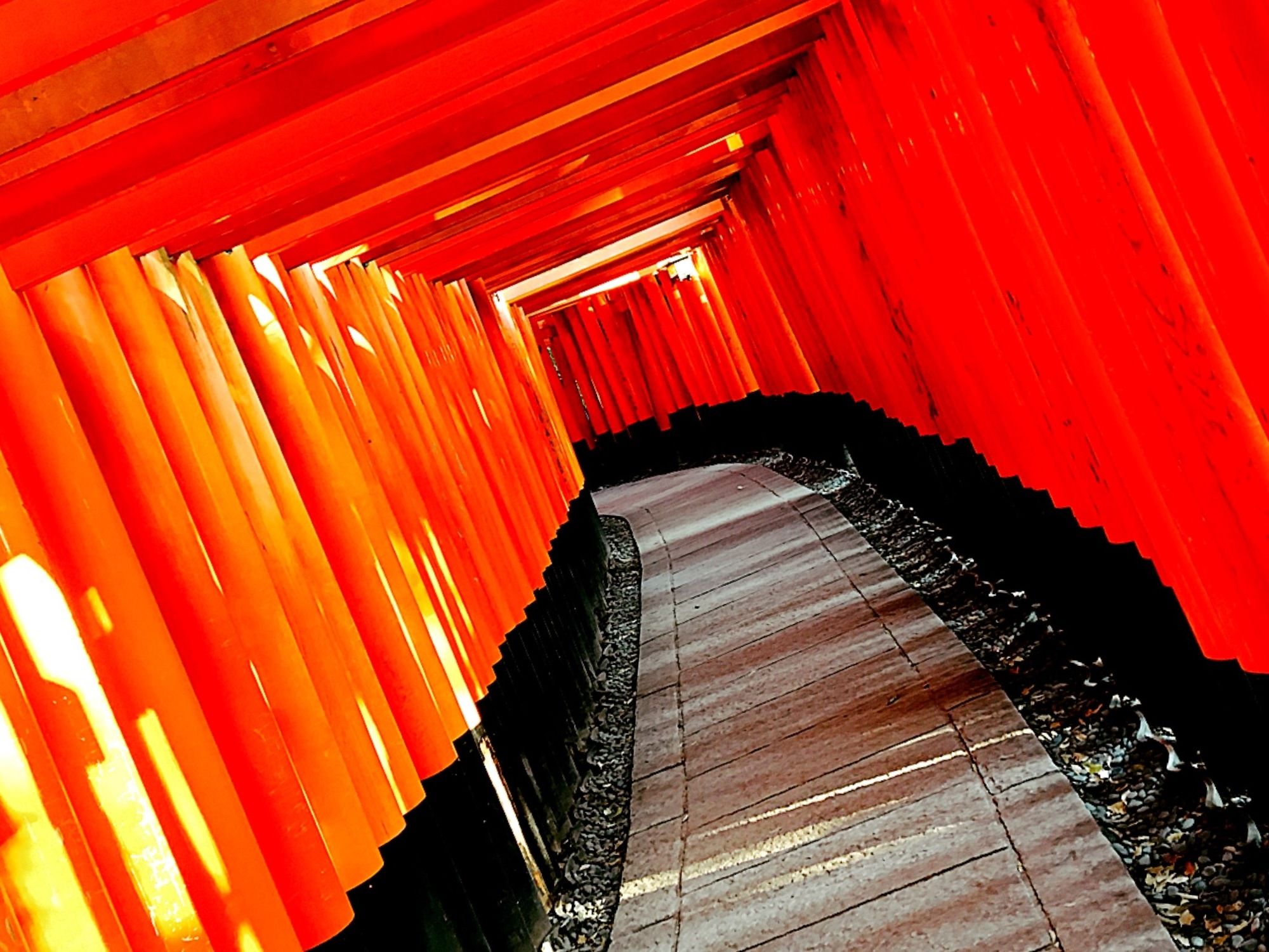 Rinn Tofukuji Fukuine